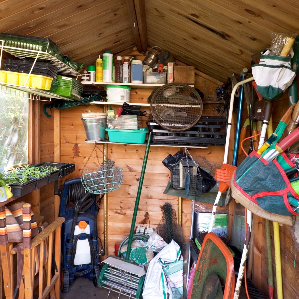 Shed clearing service