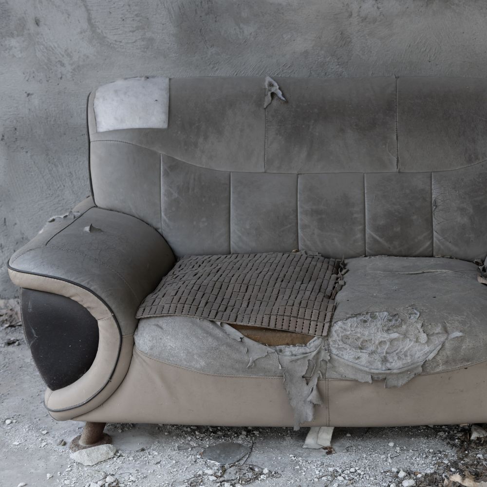 Sofa Removal