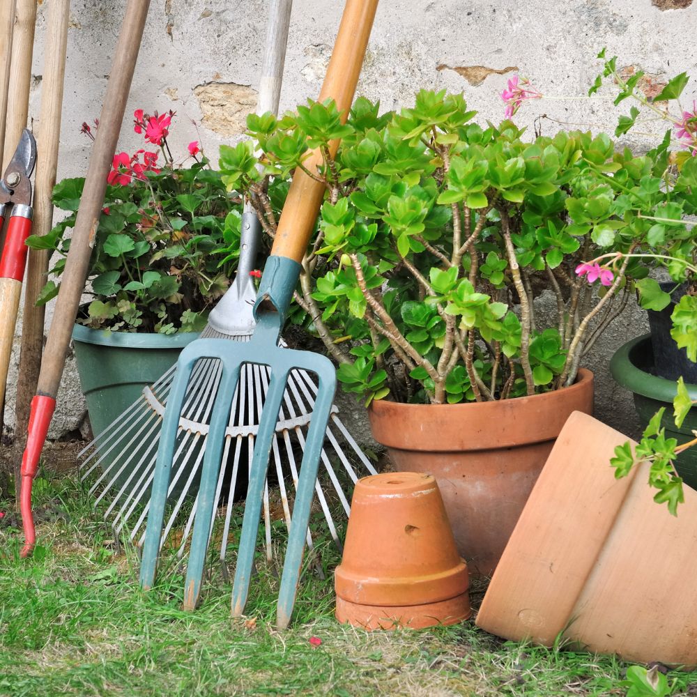 garden cleaning service