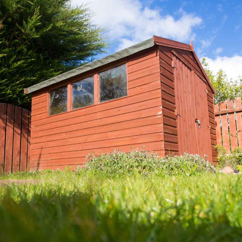 shed removal service